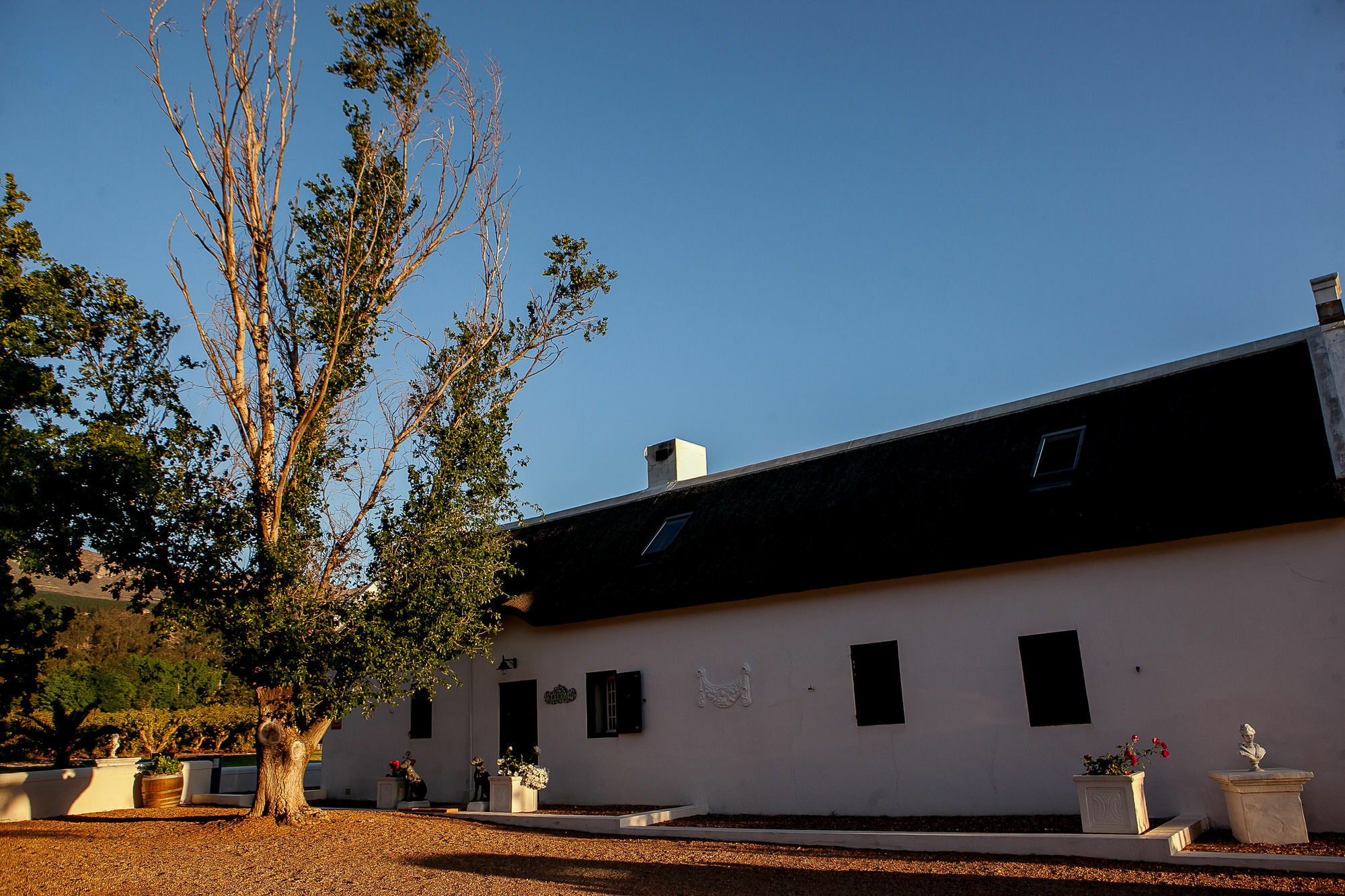 بارل 1692 De Kleijne Bos Country House المظهر الخارجي الصورة